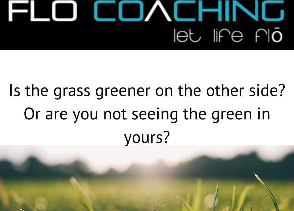 Is the Grass Greener on the Other Side?