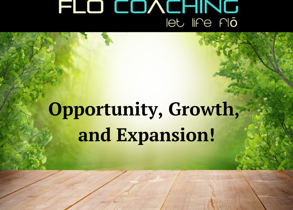 Opportunity, Growth, and Expansion